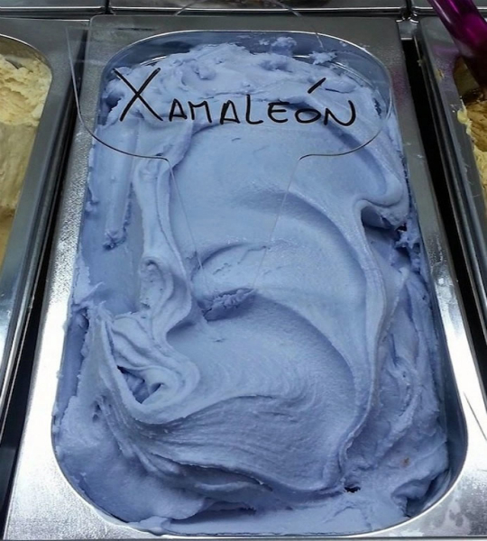 Xamaleón