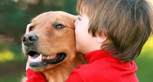 Los perros también sienten celos