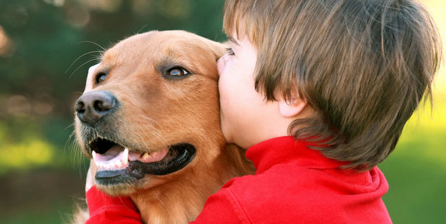 Los perros también sienten celos